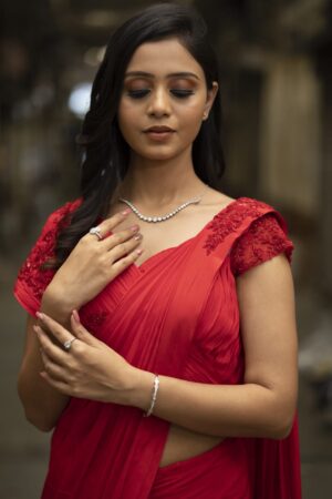Indo-Western Saree